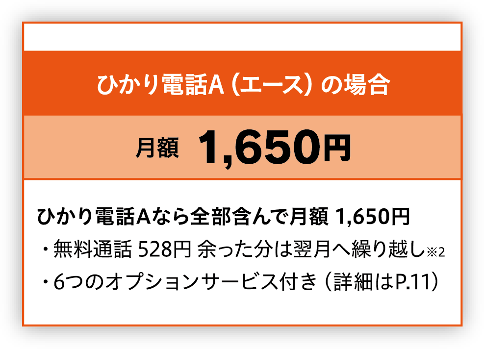 ひかり電話A（エース）の場合